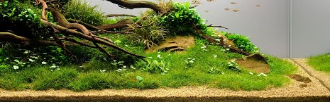 Sand & Gravel